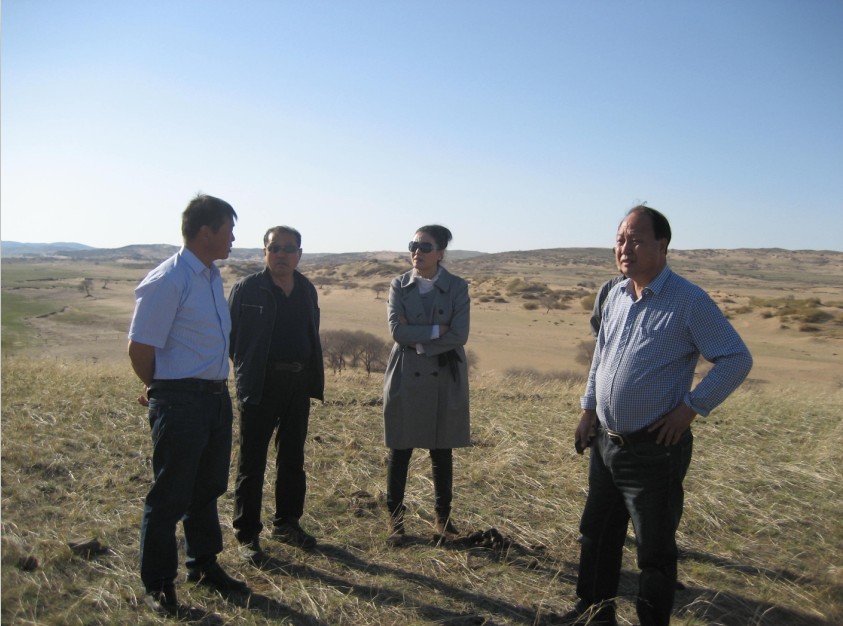 發(fā)揮資源優(yōu)勢，提高產(chǎn)業(yè)鏈競爭力——協(xié)會為企業(yè)間的合作搭建平臺