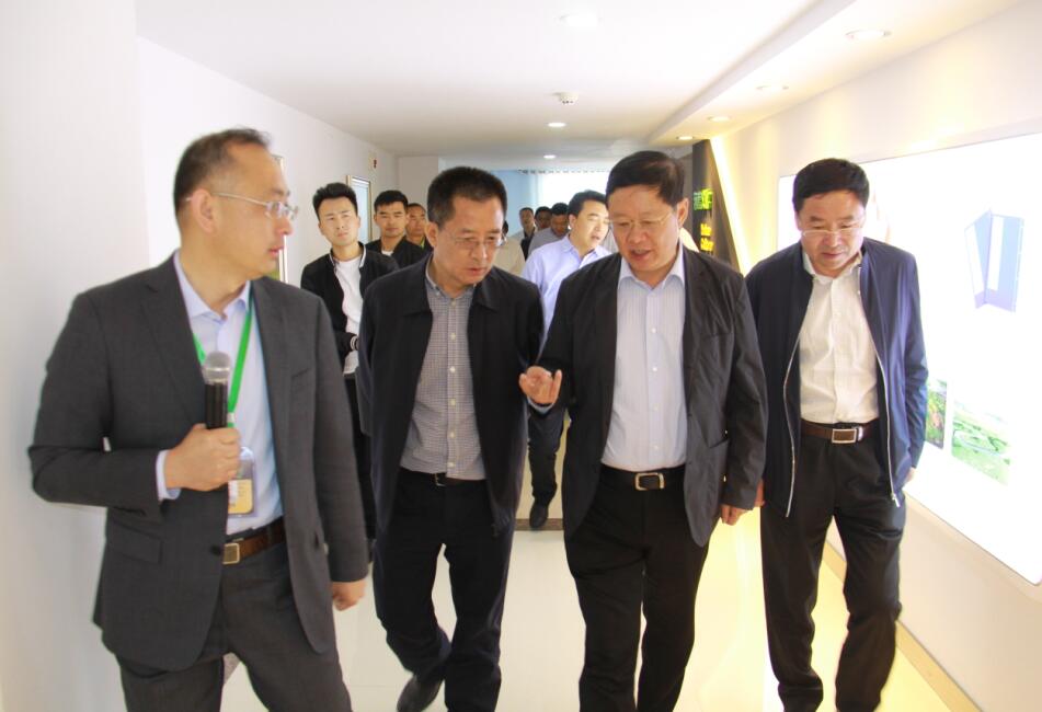 內(nèi)蒙古自治區(qū)政府副主席王波一行蒞臨美洋洋公司考察調(diào)研