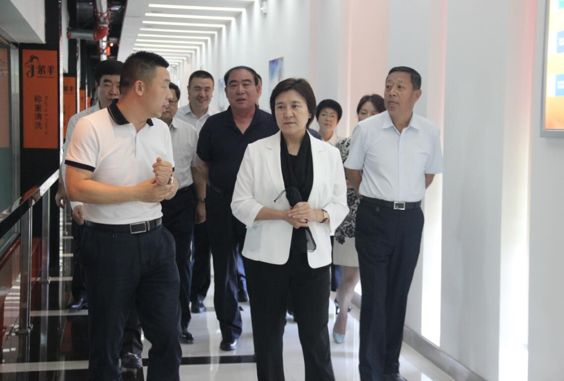 自治區(qū)黨委副書記、自治區(qū)主席布小林蒞臨協(xié)會會長單位——蒙羊牧業(yè)公司視察調研