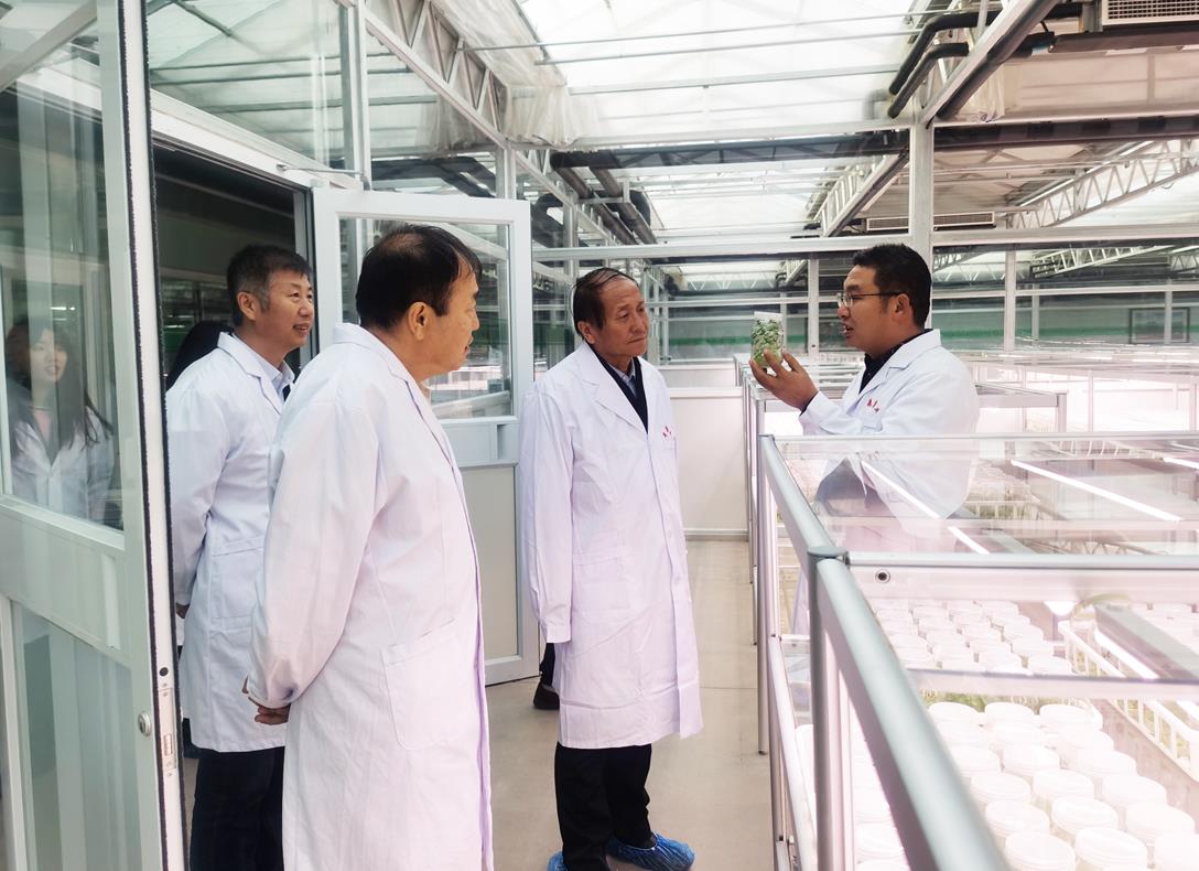 自治區(qū)級龍頭企業(yè)審核工作進行時