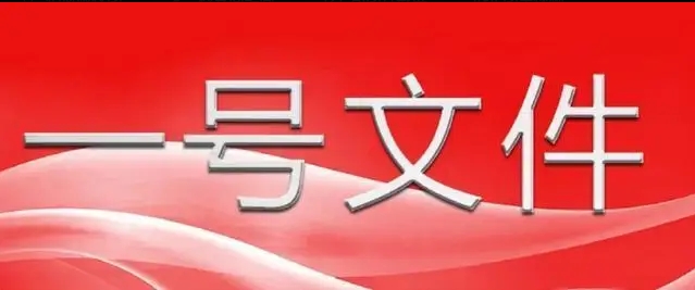 中共中央 國務院關于進一步深化農(nóng)村改革 扎實推進鄉(xiāng)村全面振興的意見